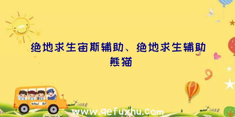 绝地求生宙斯辅助、绝地求生辅助