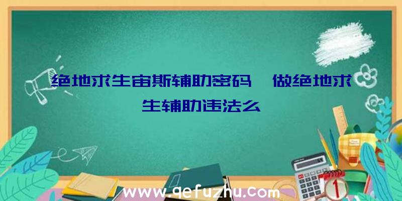 绝地求生宙斯辅助密码、做绝地求生辅助违法么