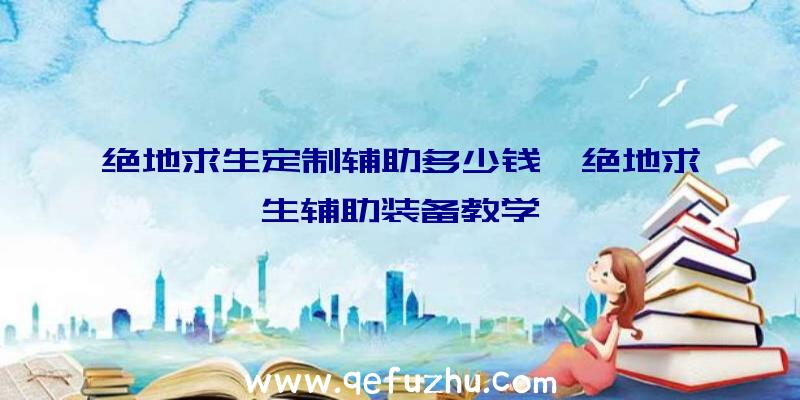 绝地求生定制辅助多少钱、绝地求生辅助装备教学