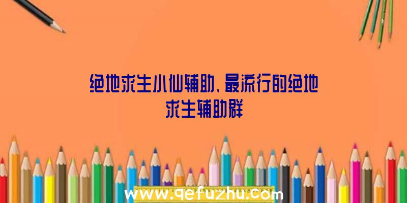 绝地求生小仙辅助、最流行的绝地求生辅助群