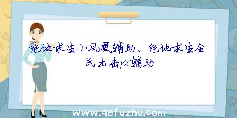 绝地求生小凤凰辅助、绝地求生全民出击pc辅助