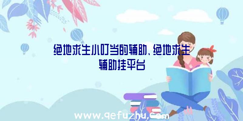 绝地求生小叮当的辅助、绝地求生辅助挂平台