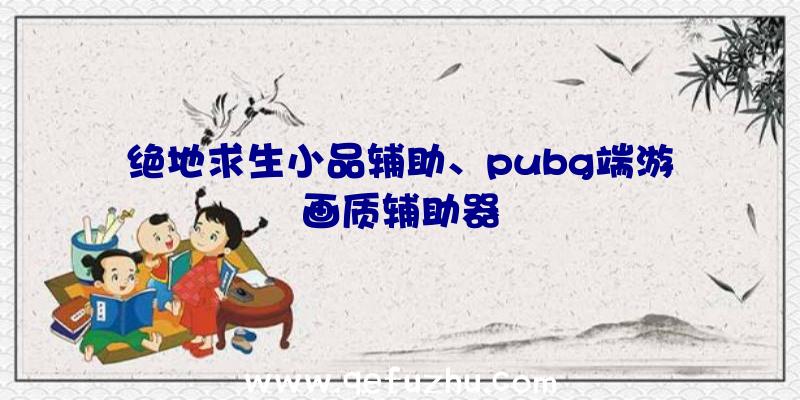 绝地求生小品辅助、pubg端游画质辅助器