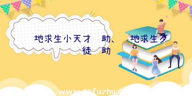 绝地求生小天才辅助、绝地求生歹徒辅助