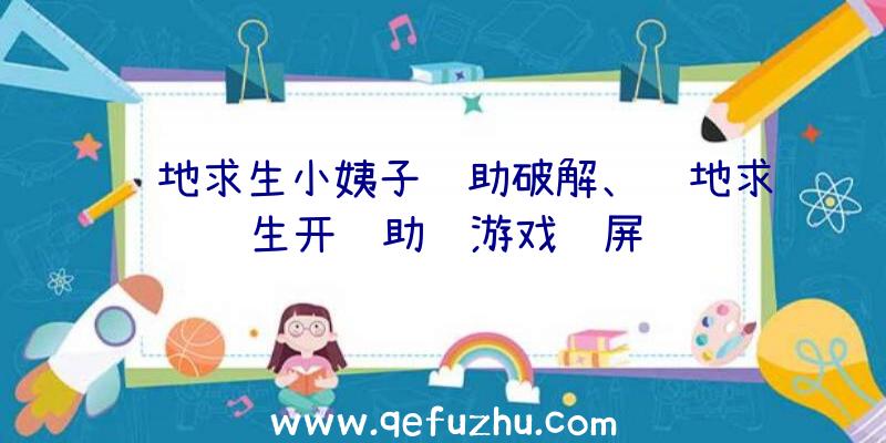 绝地求生小姨子辅助破解、绝地求生开辅助进游戏蓝屏