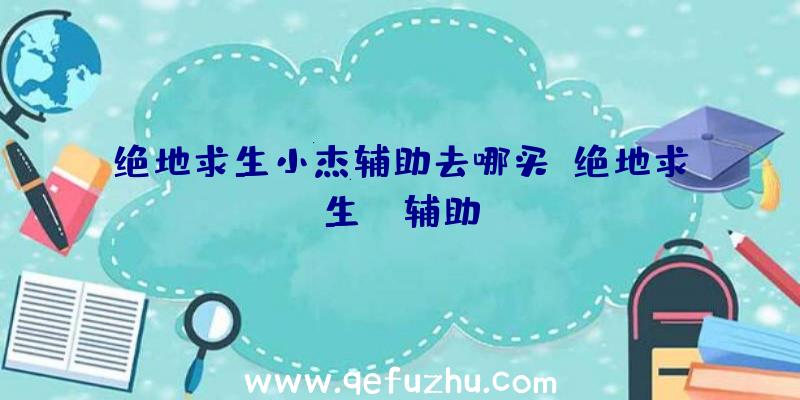 绝地求生小杰辅助去哪买、绝地求生wk辅助