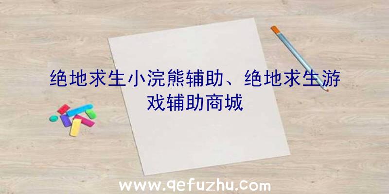 绝地求生小浣熊辅助、绝地求生游戏辅助商城