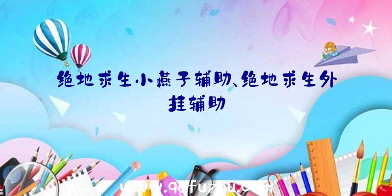 绝地求生小燕子辅助、绝地求生外挂辅助