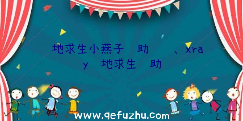 绝地求生小燕子辅助问题、xray绝地求生辅助