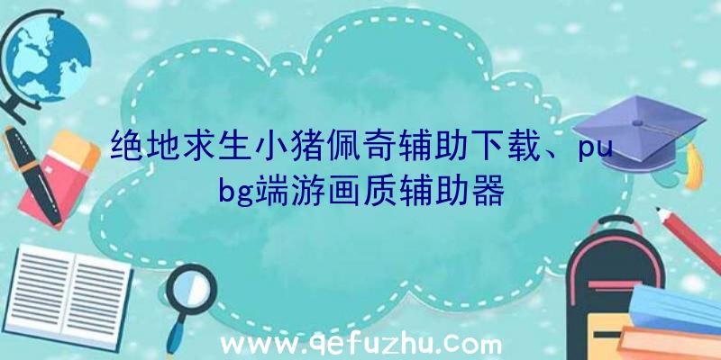 绝地求生小猪佩奇辅助下载、pubg端游画质辅助器