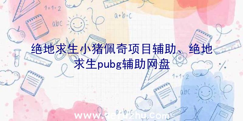 绝地求生小猪佩奇项目辅助、绝地求生pubg辅助网盘