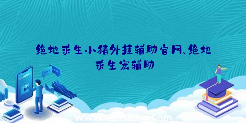 绝地求生小猪外挂辅助官网、绝地求生宏辅助