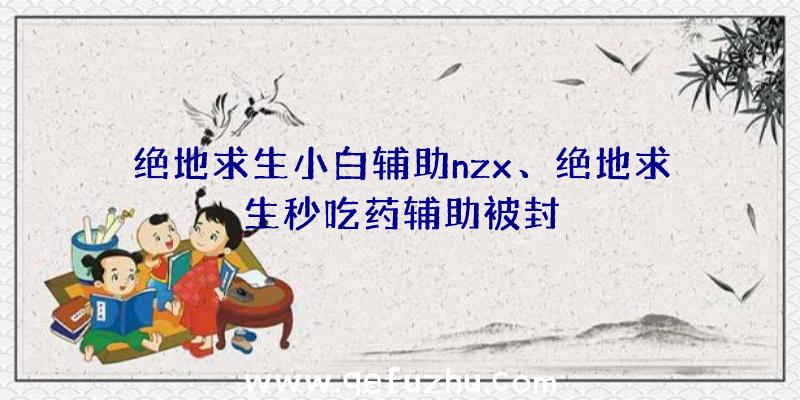 绝地求生小白辅助nzx、绝地求生秒吃药辅助被封