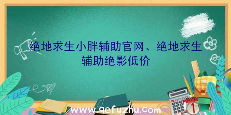 绝地求生小胖辅助官网、绝地求生辅助绝影低价