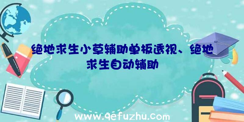 绝地求生小草辅助单板透视、绝地求生自动辅助