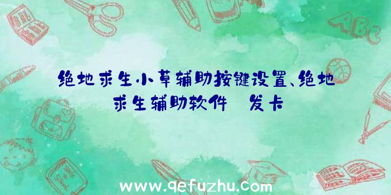 绝地求生小草辅助按键设置、绝地求生辅助软件