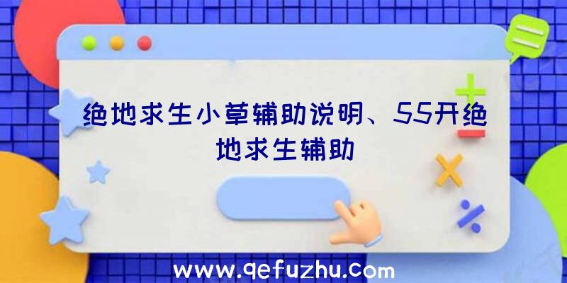 绝地求生小草辅助说明、55开绝地求生辅助