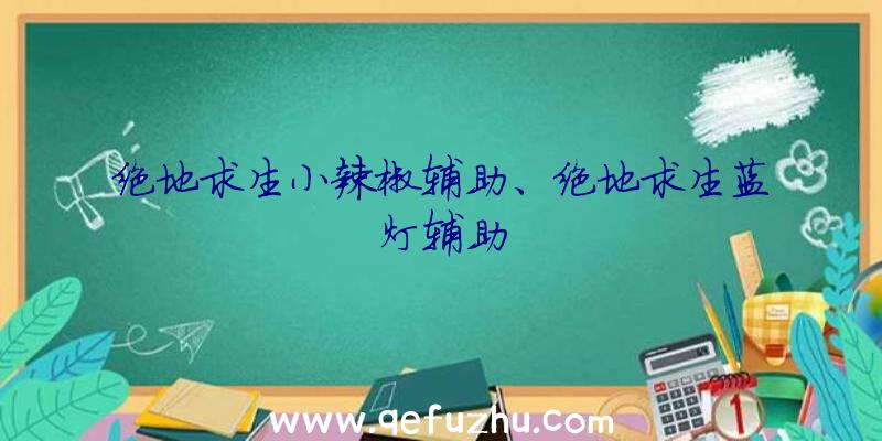 绝地求生小辣椒辅助、绝地求生蓝灯辅助