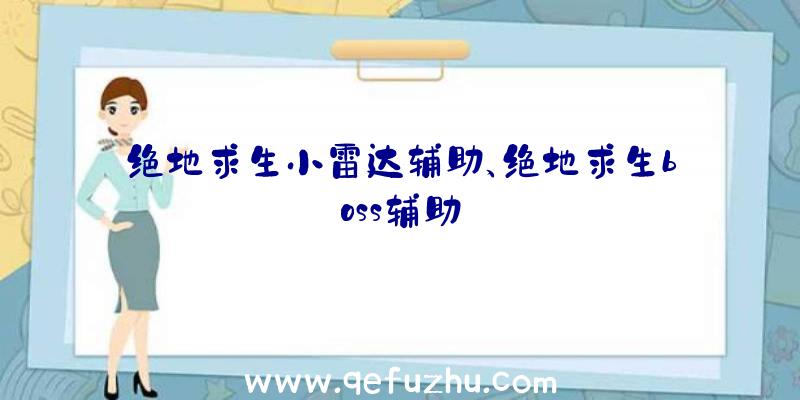 绝地求生小雷达辅助、绝地求生boss辅助