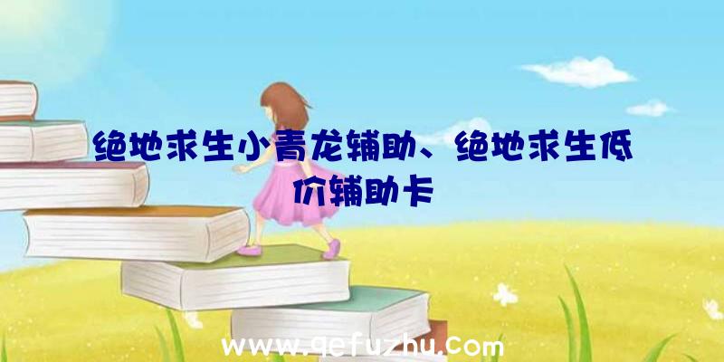 绝地求生小青龙辅助、绝地求生低价辅助卡