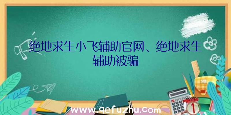 绝地求生小飞辅助官网、绝地求生辅助被骗