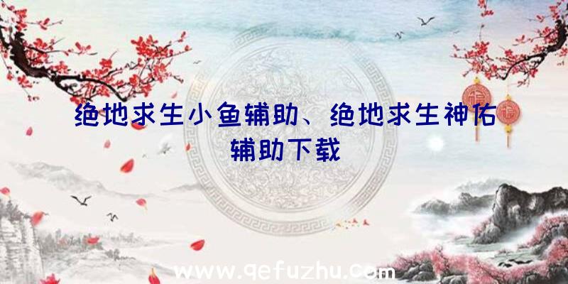 绝地求生小鱼辅助、绝地求生神佑辅助下载