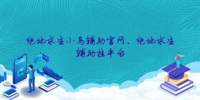 绝地求生小鸟辅助官网、绝地求生辅助挂平台