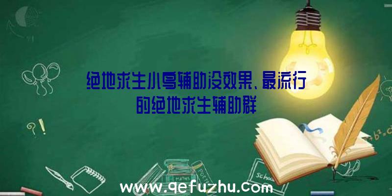 绝地求生小鸟辅助没效果、最流行的绝地求生辅助群