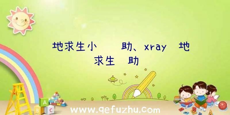 绝地求生小鸡辅助、xray绝地求生辅助