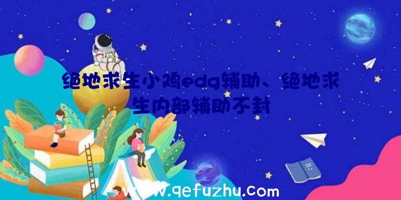 绝地求生小鸡edg辅助、绝地求生内部辅助不封