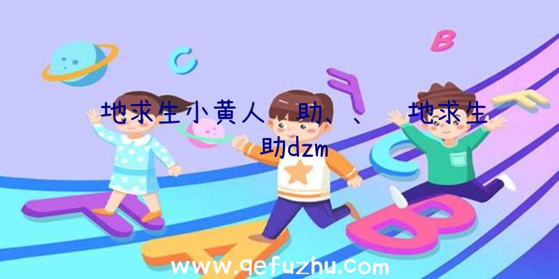 绝地求生小黄人辅助、、绝地求生辅助dzm