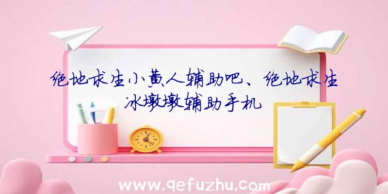 绝地求生小黄人辅助吧、绝地求生冰墩墩辅助手机