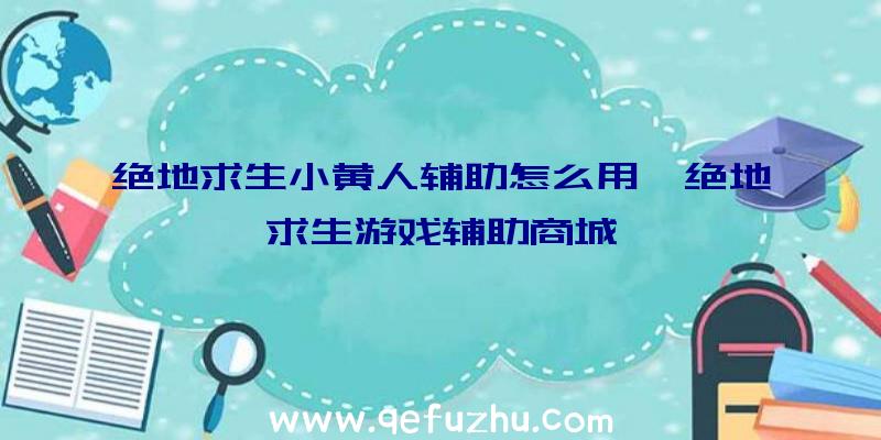 绝地求生小黄人辅助怎么用、绝地求生游戏辅助商城