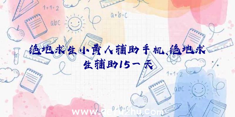 绝地求生小黄人辅助手机、绝地求生辅助15一天