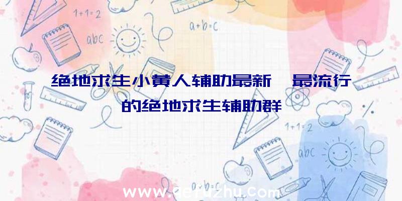 绝地求生小黄人辅助最新、最流行的绝地求生辅助群