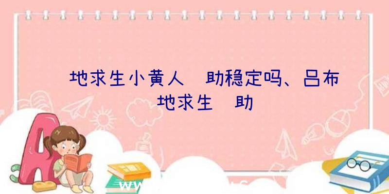 绝地求生小黄人辅助稳定吗、吕布绝地求生辅助