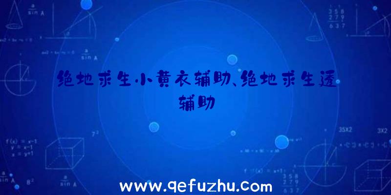 绝地求生小黄衣辅助、绝地求生透辅助