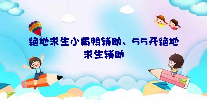 绝地求生小黄鸭辅助、55开绝地求生辅助