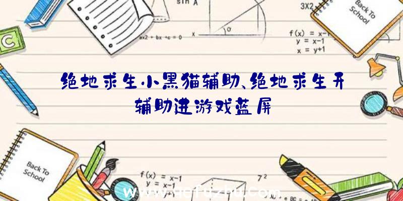 绝地求生小黑猫辅助、绝地求生开辅助进游戏蓝屏