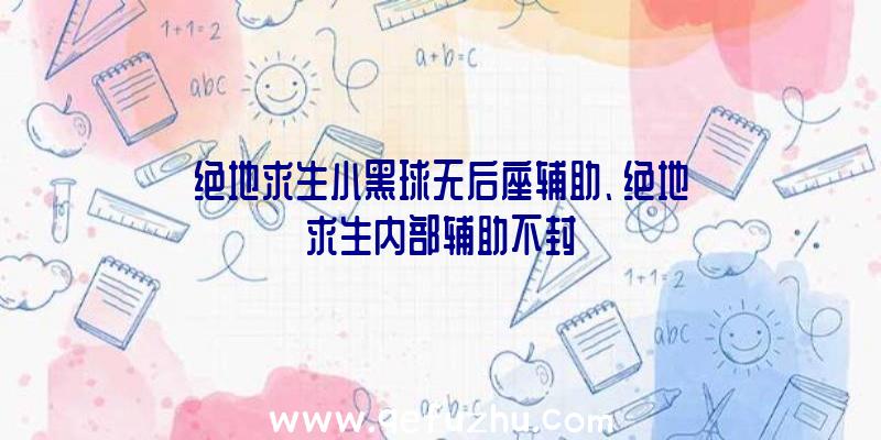 绝地求生小黑球无后座辅助、绝地求生内部辅助不封