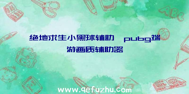 绝地求生小黑球辅助、pubg端游画质辅助器