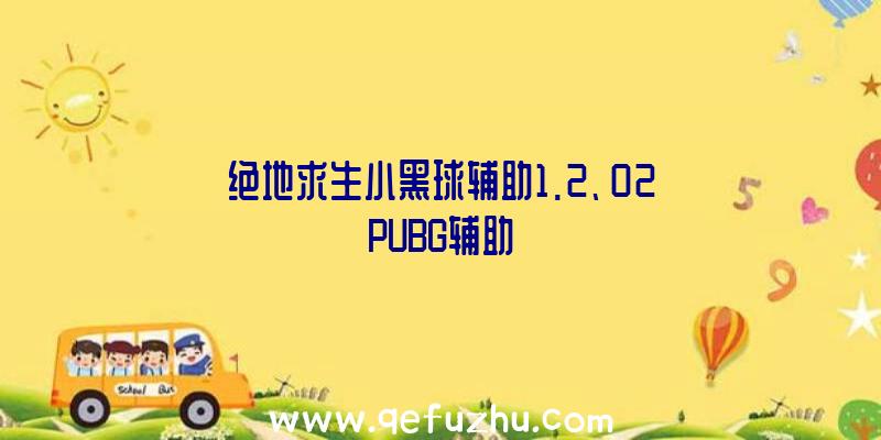 绝地求生小黑球辅助1.2、02PUBG辅助