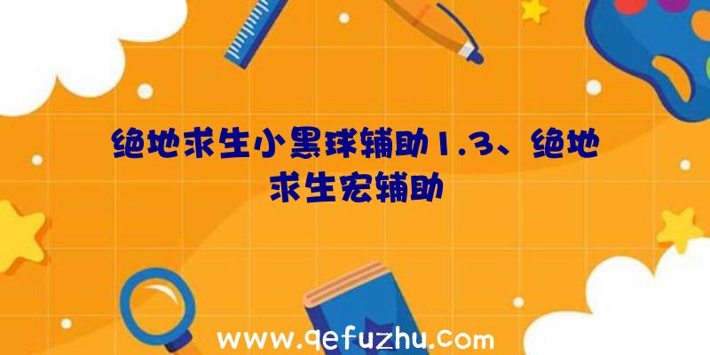 绝地求生小黑球辅助1.3、绝地求生宏辅助