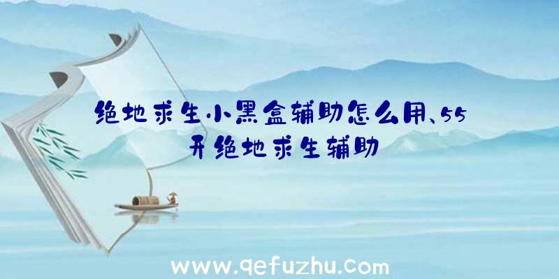 绝地求生小黑盒辅助怎么用、55开绝地求生辅助