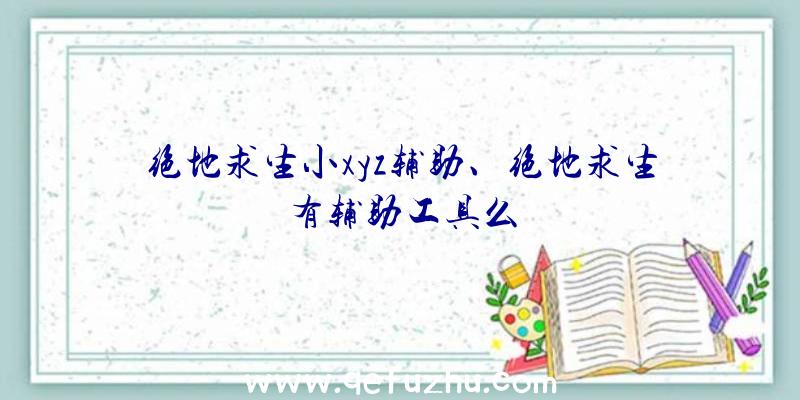 绝地求生小xyz辅助、绝地求生有辅助工具么