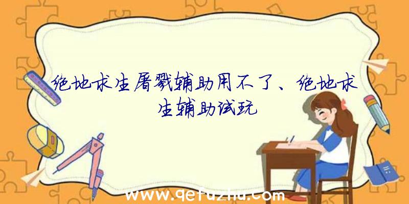 绝地求生屠戮辅助用不了、绝地求生辅助试玩