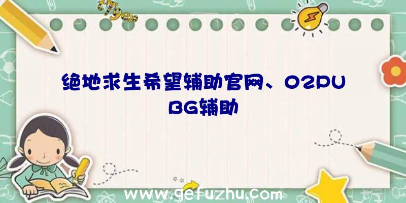 绝地求生希望辅助官网、02PUBG辅助