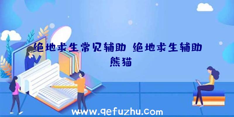 绝地求生常见辅助、绝地求生辅助