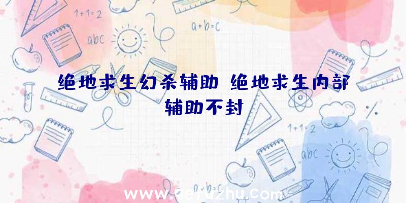 绝地求生幻杀辅助、绝地求生内部辅助不封