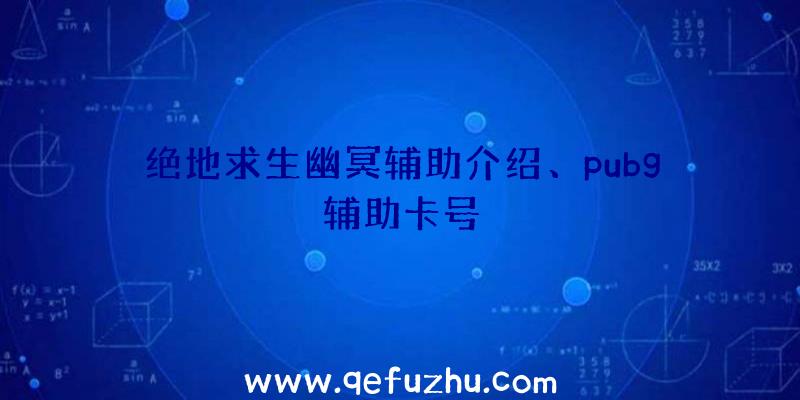 绝地求生幽冥辅助介绍、pubg辅助卡号